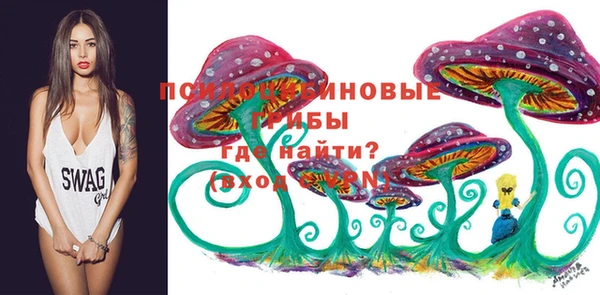 ешки Алзамай