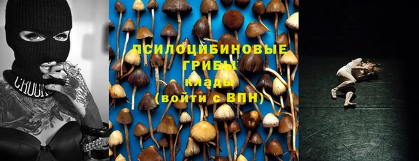 Альфа ПВП Алексин